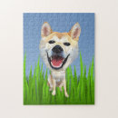 Recherche de shiba inu puzzles Pour tous
