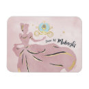 Recherche de glissière magnets Princesse