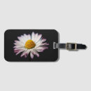 Search for common accessories Yellow
