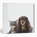 Search for doxies binders Cute