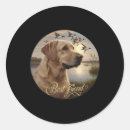 Search for labrador duck stickers Wildlife