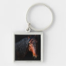 Search for vii keychains Photography