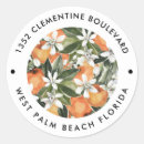 Recherche de clementine stickers Mandarine
