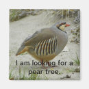 Search for bird hunt magnets Hunting