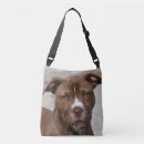Recherche de pitbull bags Animaux familiers