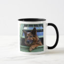 Search for griffs Canine