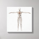 Search for female body canvas prints Anatomy