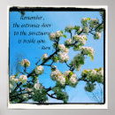 Search for wise quote posters Inspirational