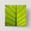 Recherche de feuillage vert badges Feuille