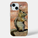 Search for squirrel iphone cases Wildlife