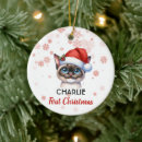 Search for siamese cat ornaments Watercolor
