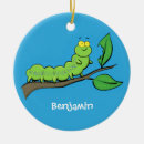 Search for caterpillar ornaments Insect