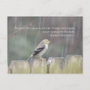 Search for bird sayings postcards Happiness