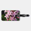 Recherche de pentax Pentas