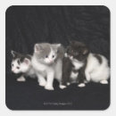 Search for three headed stickers Horizontal