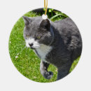 Search for grey and white cat ornaments Pet