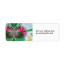 Search for fractal return address labels Psychedelic