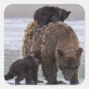 Search for bear lake stickers Wildlife
