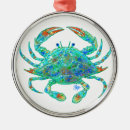 Search for crab ornaments nature