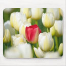 Search for marion mousepads Nobody