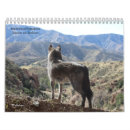 Search for charity calendars Wildlife