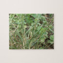 Recherche de camouflage puzzles Vert