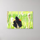 Search for blackbirds art Nature