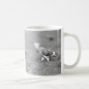 Search for black squirrel mugs Animal