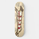 Recherche de viande skateboards Vache