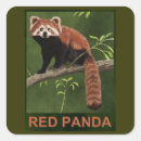 Recherche de panda rouge autocollants Nature