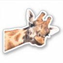 Recherche de girafe drôle autocollants Animal