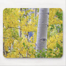 Recherche de montagne rocheuse tapis souris Nature