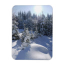 Recherche de température vœux cartes Extérieur