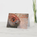 Search for edibility cards Edible