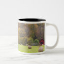 Search for autumn scene mugs Landscape