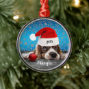 Search for spaniel ornaments Snow