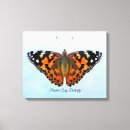 Search for wing lady Insect