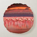 Search for african pillows Wildlife