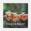 Search for green tree frog magnets Frogs