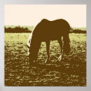 Search for horse pop art Horses