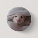 Recherche de rat mignon badges Animal