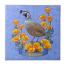 Search for quail tiles California