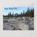 Search for acadia postcards Trees