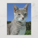 Search for outside postcards Grey