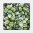 Recherche de gourmet magnets Photographie