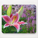 Search for stargazer mousepads Floral