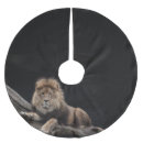 Recherche de zoo jupon de sapin Animal
