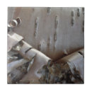 Search for tree bark tiles Rustic