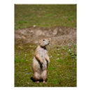 Recherche de photo de faune posters Amoureux des animaux
