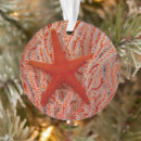 Search for starfish ornaments Underwater